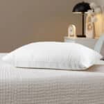 Cotton Bed Pillow with Microfiber Filling - Dibaj